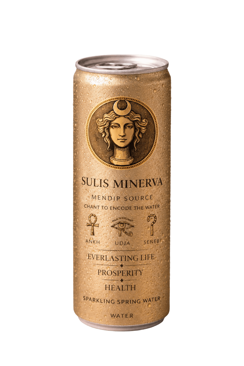 Sulis Minerva Can